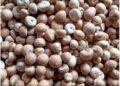 Arecanut Price Surge in the State